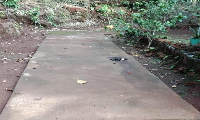 विकास कामे (5)