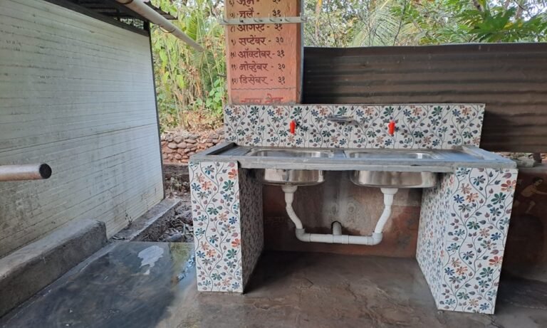 विकास कामे