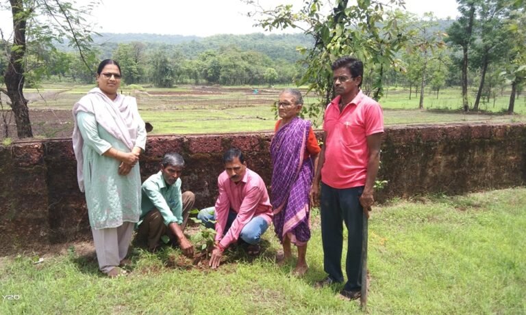 वृक्षारोपण