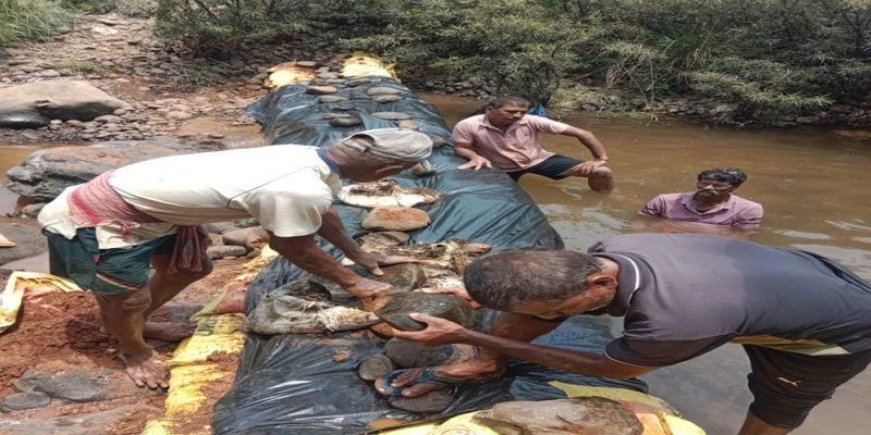 बंधारा (3)