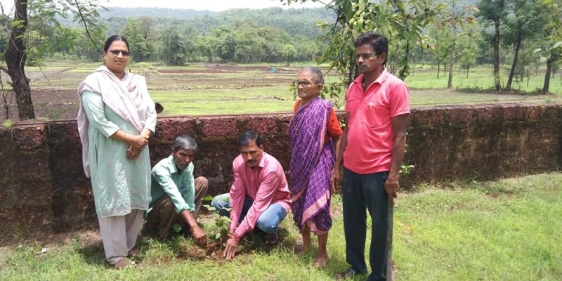 वृक्षारोपण